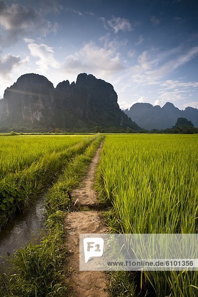 führen  Berg  Weg  Reis  Reiskorn  Asien  Laos