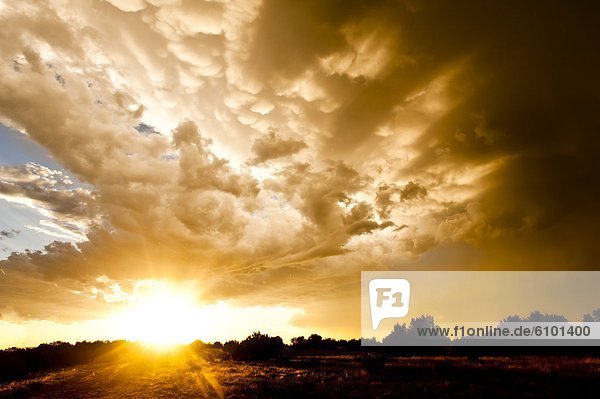 Wolke  heraustropfen  tropfen  undicht  Regen  Colorado  Sonne