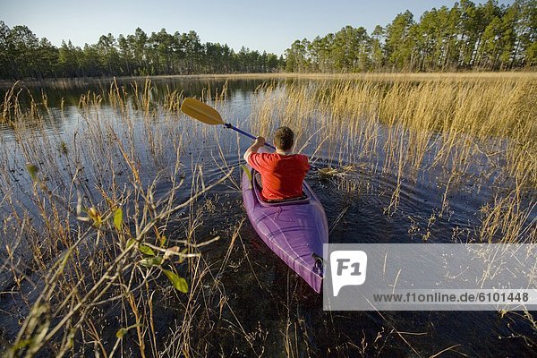 A man kayaks through a part of the Green Swamp in Southeast North Carolina