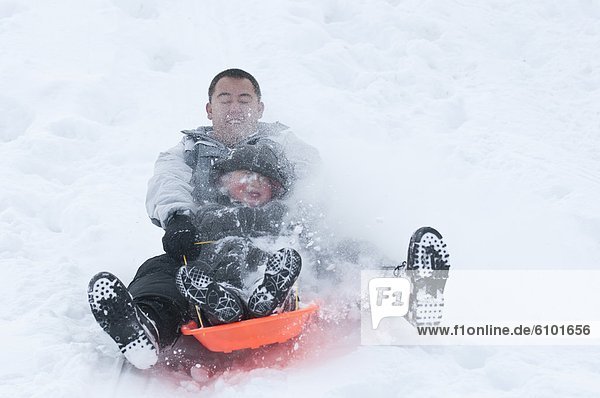 Getting out to enjoy the fresh snowfall  a young man and boy sled down a local hill in Incline Village  Nevada.