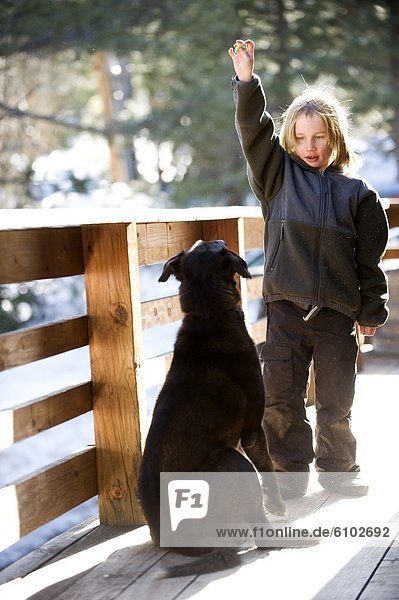 A boy teaches a dog a trick in Lake Tahoe  California.