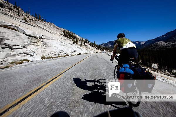 Mann  fahren  Tagesausflug  Wiese  jung  Yosemite Nationalpark  Kalifornien
