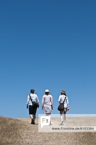 Three women walking  New Zealand.