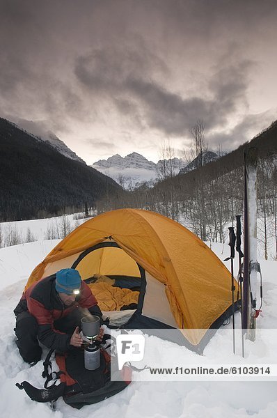 Espe  Populus tremula  Winter  Mann  camping  braun  unterhalb  Colorado