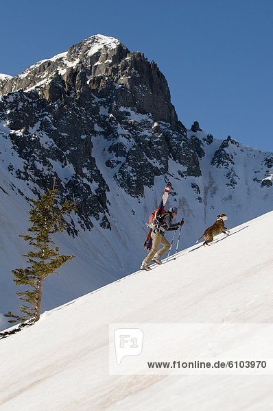 nahe  Frau  Ski  wandern  Colorado  Silverton
