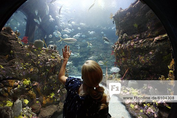 A woman views fish in the main tank of an aquarium