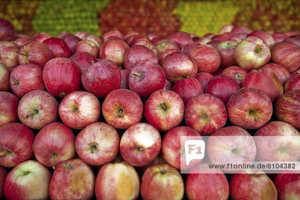 Red apples lay in a pile at a fruit stand in Maryland  USA.