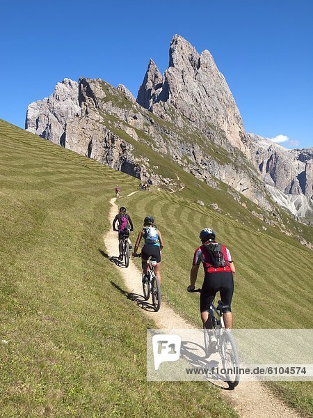 Three mountain bikers are riding a small single trail high in the mountains  with a rock cliff in the background .
