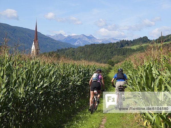 Two mountain bikers are riding between corn fields in the Pustertal  with a church in the background.