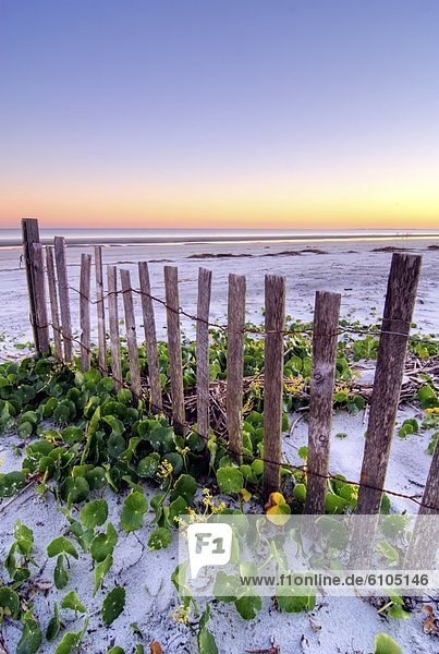 A wooden beach fence at sunset on Hilton Head Island  South Carolina.