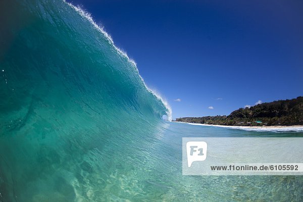 Wasser  Ansicht  Hawaii  Wasserwelle  Welle