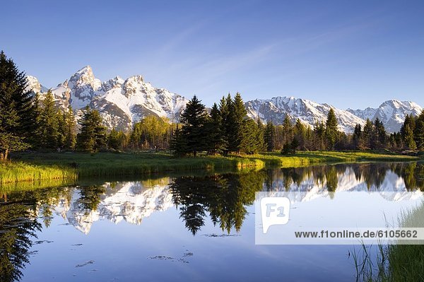 The Tetons reflect in Schwabacher's Landing in Grand Teton National Park  Wyoming.