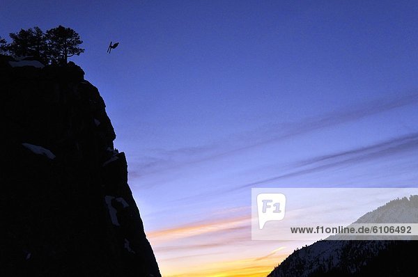 springen  Skifahrer  Sonnenuntergang  frontal  zeigen  Ski  Kalifornien  Erdbeere  Liebe