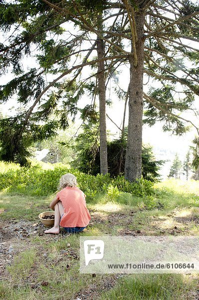 a girl collects pine cones on the coast of maine
