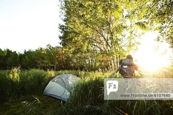 A man walking through tall grass next to his tent at sunset on a backpacking trip in Montana.