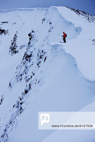 hoch  oben  benutzen  Berg  Snowboardfahrer  Athlet  wandern  unbewohnte  entlegene Gegend  Splitboard  Colorado