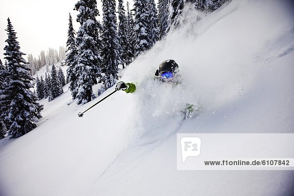 Skifahrer  Tag  Frische  drehen  Sturm  Athlet  Gesichtspuder  unbewohnte  entlegene Gegend  Colorado  tief