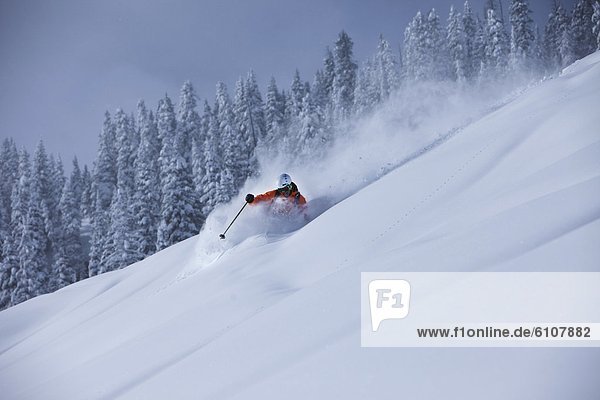 Skifahrer  Tag  Frische  drehen  Sturm  Athlet  Gesichtspuder  unbewohnte  entlegene Gegend  Colorado  tief