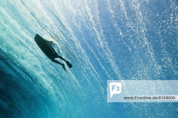 Underwater view of a bodyboarder surfacing after duck diving through a wave  Rarotonga  Cook Islands.