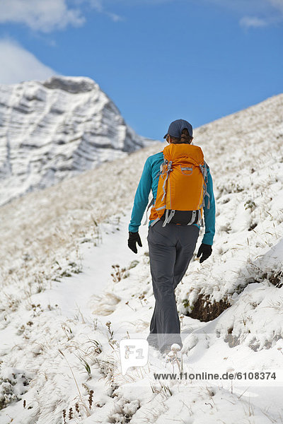 A woman hiking in snow  Kananaskis Country  Alberta  Canada.