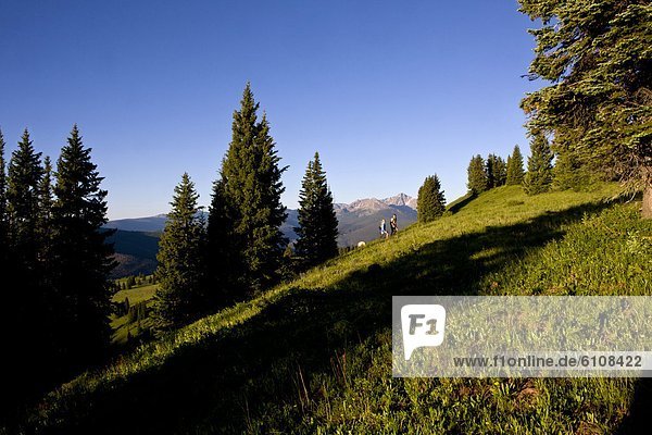 dramatisch  Feld  wandern  Rahmen  jung  vorwärts  Hintergrundbild