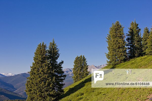 Feld wandern Rahmen jung vorwärts Hintergrundbild