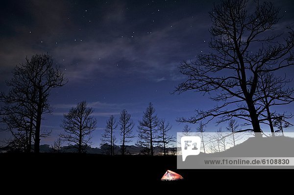 nahe  sternförmig  Nacht  Himmel  Zelt  beleuchtet  Mexiko  Sperre  Schlucht  Colorado  neu