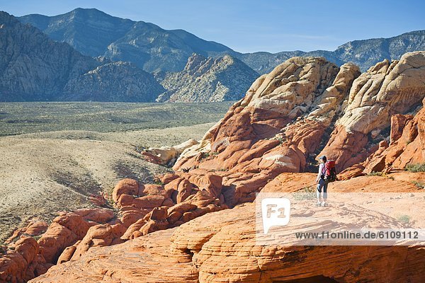 A hiker in the Calico Hills  Red Rock Canyon National Conservation Area  Nevada  USA.
