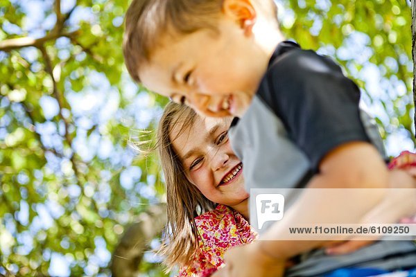 A boy and a girl climb a tree in Garden City  Utah.