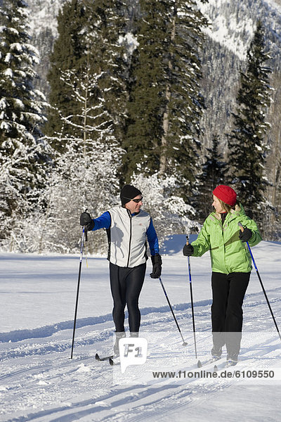folgen  Skisport  Ski  gepflegt  Langlaufski