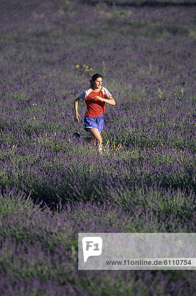 Frau  rennen  Feld  Lavendel