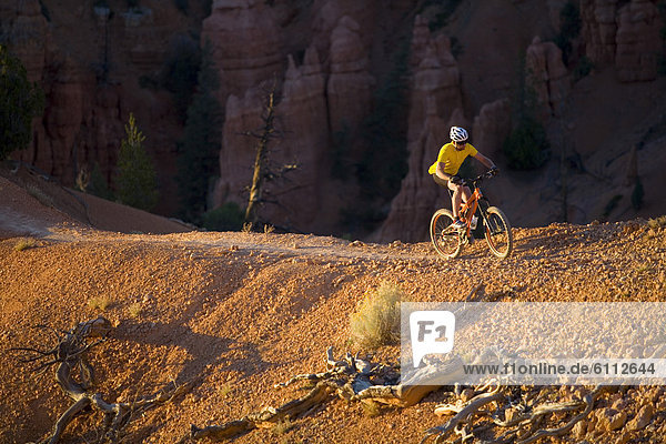 Mountain biker riding on a trail.