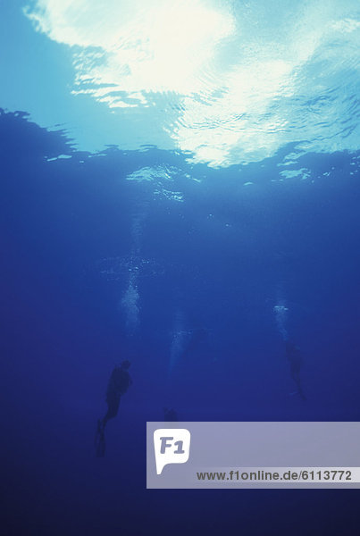 Scuba divers below surface