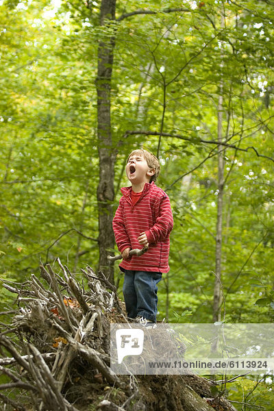 Ländliches Motiv ländliche Motive Junge - Person Wald See jung spielen