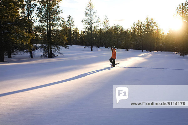A young woman snowshoes through freshly fallen snow at sunset in Flagstaff  Arizona.
