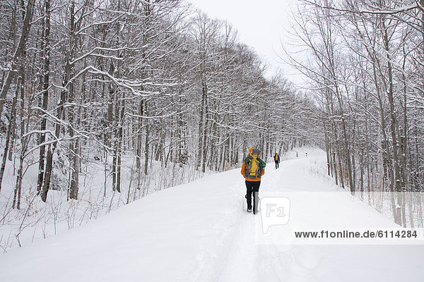 Men mountaineering  New Hampshire.