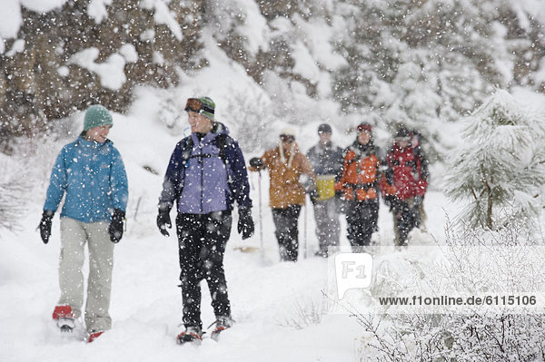 Front view of a medium sized group of adults walking on a trail in the snow in Bend  Oregon.