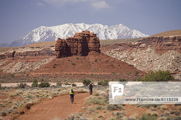 Mountain bikers on dirt road with desert scenery and snowy mountain in background near Hite  Utah.