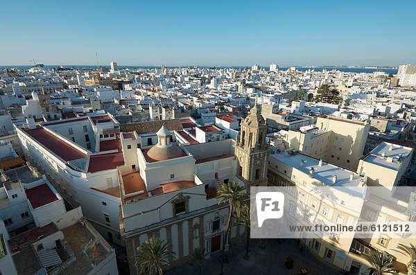 aerial view of the old town of Cadiz  in the first place stands the Plaza de la Catedral with church Santiago  Andalucia  Spain