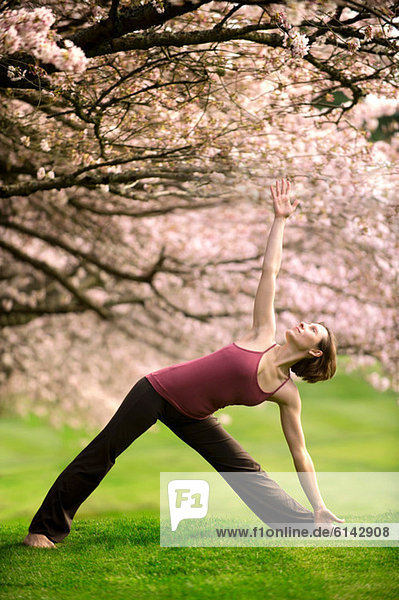 Frau in Dreiecks-Yogastellung bei Kirschbaum