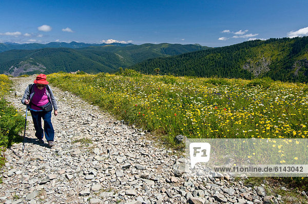 Female hiker on mountain path Silver Star Peak Cascade Range Washington USA