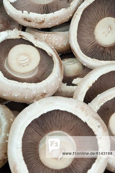 Portobello mushrooms
