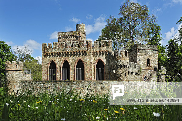 Die Mosburg  früher auch Moosburg  eine künstliche Ruine im Biebricher Schlosspark  Wiesbaden  Hessen  Deutschland  Europa