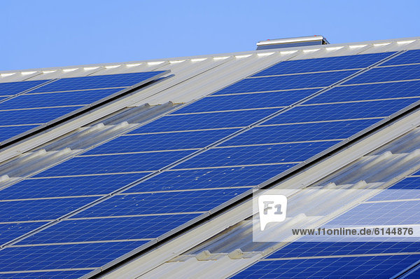 Photovoltaikanlage  Solarzellen  Solaranlage auf Firmendach  Nordrhein-Westfalen  Deutschland  Europa  ÖffentlicherGrund