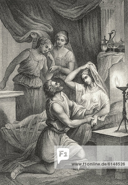 Historischer Stahlstich  Illustration zu Peregrinus Proteus  von Christoph Martin Wieland