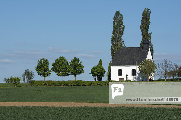 Heilig Kreuz Kapelle  Mertloch  Rheinland-Pfalz  Deutschland  Europa  öffentlicherGrund