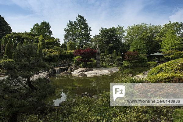 Japanischer Garten  Freizeitpark Rheinaue  Bonn  Nordrhein-Westfalen  Deutschland  Europa
