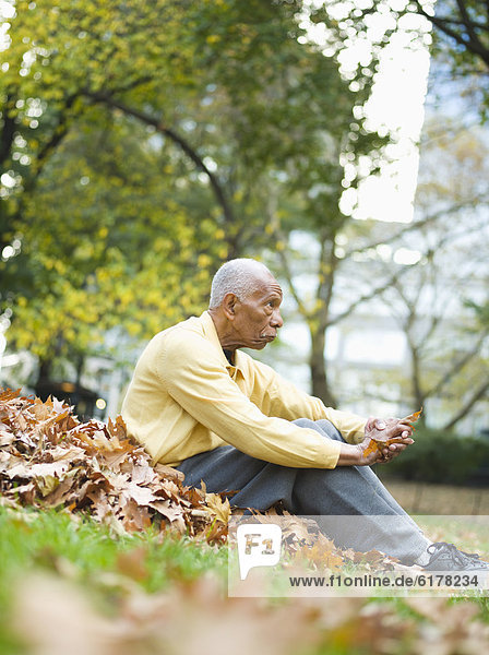 Senior Senioren Mann sitzend Laub
