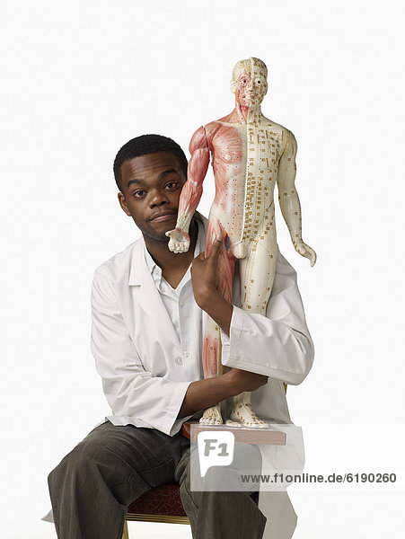 Modell  halten  Anatomie  Chiropraktik