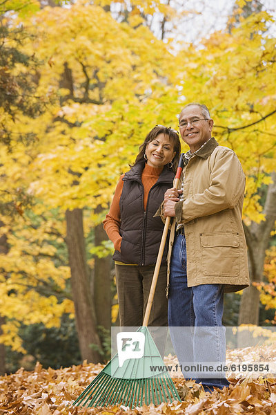 Hispanic couple raking autumn leaves